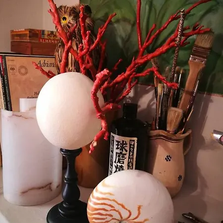 Painted Quercianella